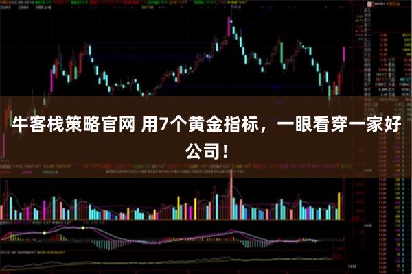 牛客栈策略官网 用7个黄金指标，一眼看穿一家好公司！
