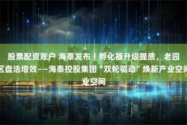 股票配资账户 海泰发布|孵化器升级提质,老园区盘活增效——海泰控股集团“双轮驱动”焕新产业空间