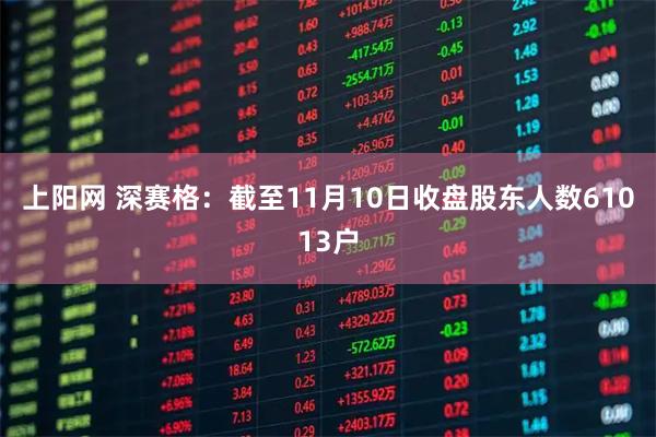 上阳网 深赛格：截至11月10日收盘股东人数61013户