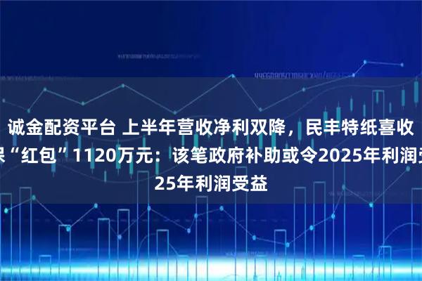 诚金配资平台 上半年营收净利双降,民丰特纸喜收环保“红包”1120万元:该笔政府补助或令2025年利润受益