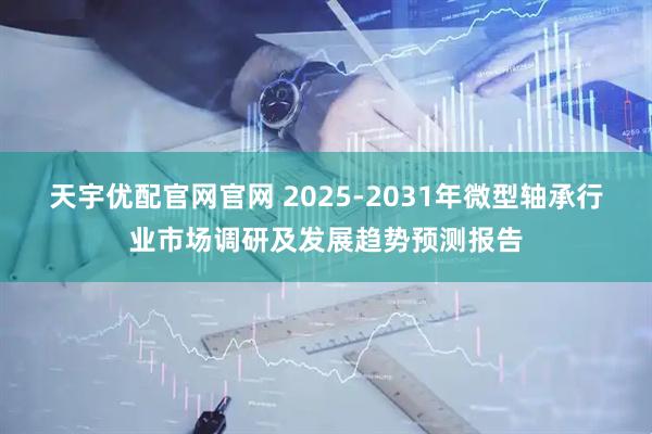 天宇优配官网官网 2025-2031年微型轴承行业市场调研及发展趋势预测报告